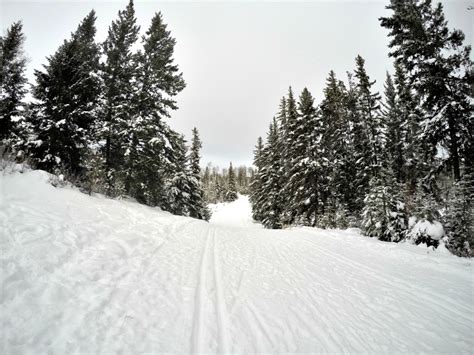 Stake Lake Ski Trails .
